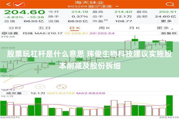 股票玩杠杆是什么意思 玮俊生物科技建议实施股本削减及股份拆细