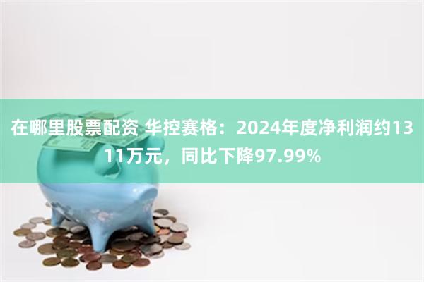 在哪里股票配资 华控赛格：2024年度净利润约1311万元，同比下降97.99%