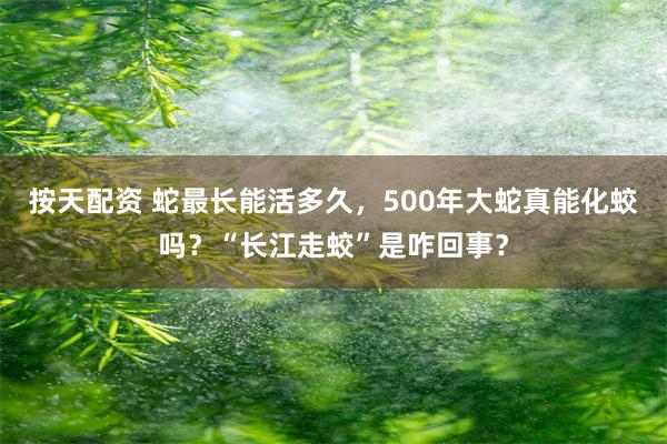 按天配资 蛇最长能活多久，500年大蛇真能化蛟吗？“长江走蛟”是咋回事？