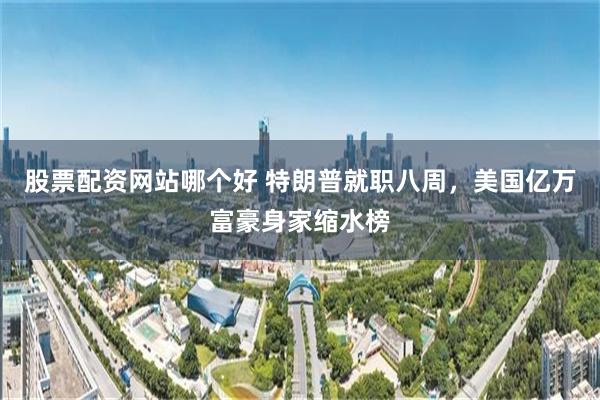 股票配资网站哪个好 特朗普就职八周，美国亿万富豪身家缩水榜