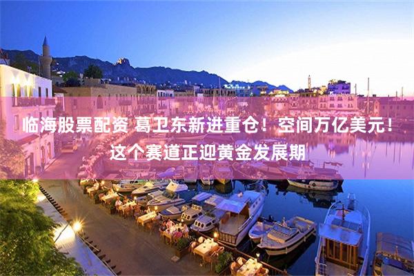 临海股票配资 葛卫东新进重仓！空间万亿美元！这个赛道正迎黄金发展期