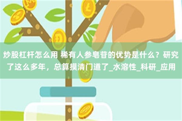 炒股杠杆怎么用 稀有人参皂苷的优势是什么？研究了这么多年，总算摸清门道了_水溶性_科研_应用