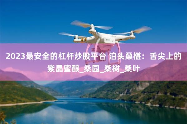 2023最安全的杠杆炒股平台 泊头桑椹：舌尖上的紫晶蜜酿_桑园_桑树_桑叶