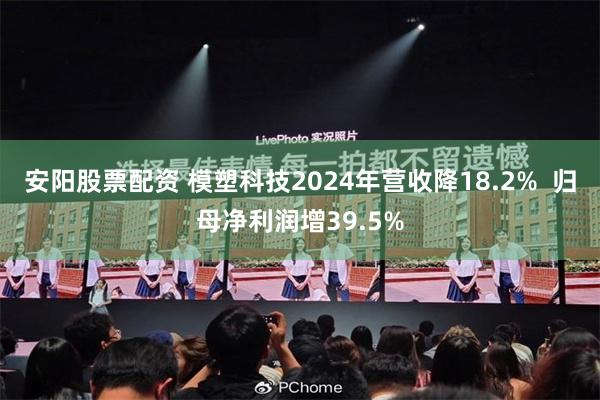 安阳股票配资 模塑科技2024年营收降18.2%  归母净利润增39.5%