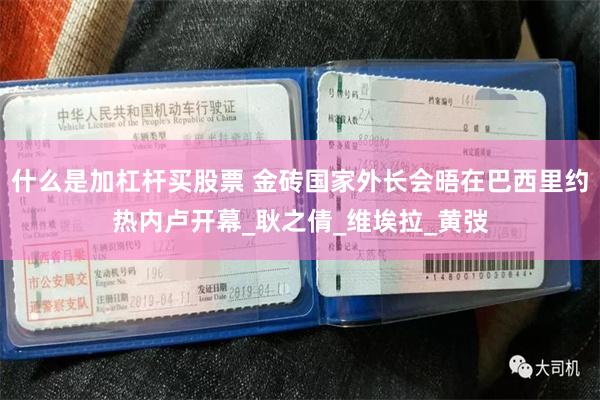 什么是加杠杆买股票 金砖国家外长会晤在巴西里约热内卢开幕_耿之倩_维埃拉_黄弢