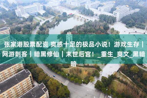 张家港股票配资 爽感十足的极品小说！游戏生存｜网游刺客｜暗黑修仙｜末世后宫！_重生_爽文_黑暗