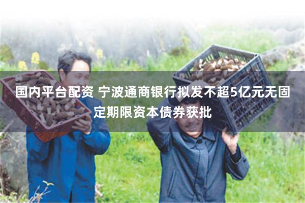 国内平台配资 宁波通商银行拟发不超5亿元无固定期限资本债券获批