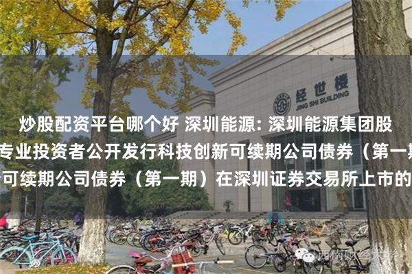 炒股配资平台哪个好 深圳能源: 深圳能源集团股份有限公司2025年面向专业投资者公开发行科技创新可续期公司债券(第一期)在深圳证券交易所上市的公告