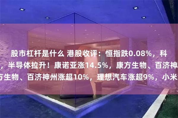 股市杠杆是什么 港股收评：恒指跌0.08%，科技股分化，创新药大涨，半导体拉升！康诺亚涨14.5%，康方生物、百济神州涨超10%，理想汽车涨超9%，小米集团跌2%