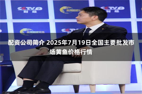 配资公司简介 2025年7月19日全国主要批发市场黄鱼价格行情