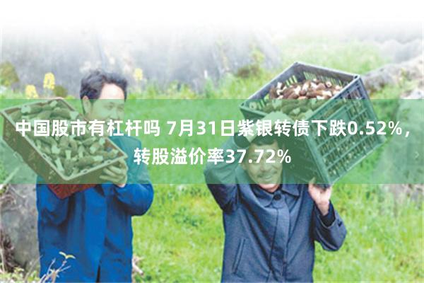 中国股市有杠杆吗 7月31日紫银转债下跌0.52%，转股溢价率37.72%
