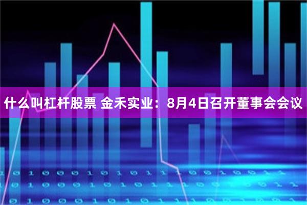 什么叫杠杆股票 金禾实业：8月4日召开董事会会议
