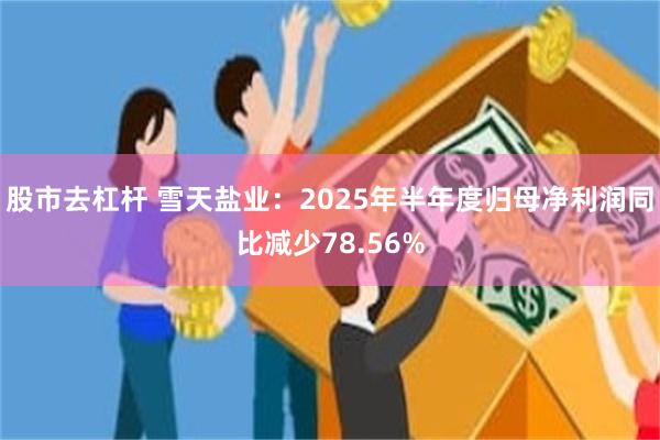 股市去杠杆 雪天盐业：2025年半年度归母净利润同比减少78.56%