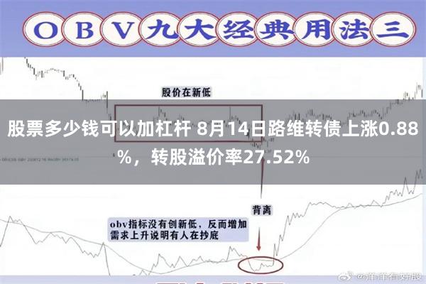 股票多少钱可以加杠杆 8月14日路维转债上涨0.88%，转股溢价率27.52%