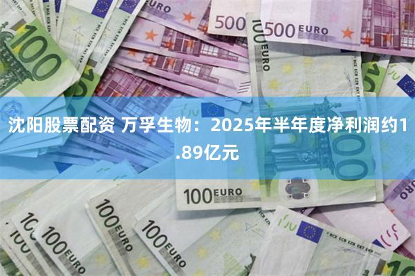 沈阳股票配资 万孚生物：2025年半年度净利润约1.89亿元