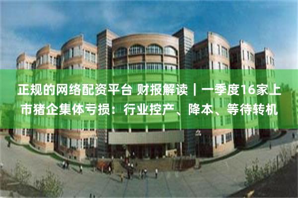 正规的网络配资平台 财报解读｜一季度16家上市猪企集体亏损：行业控产、降本、等待转机