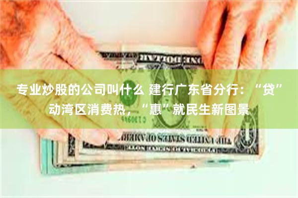 专业炒股的公司叫什么 建行广东省分行：“贷”动湾区消费热，“惠”就民生新图景