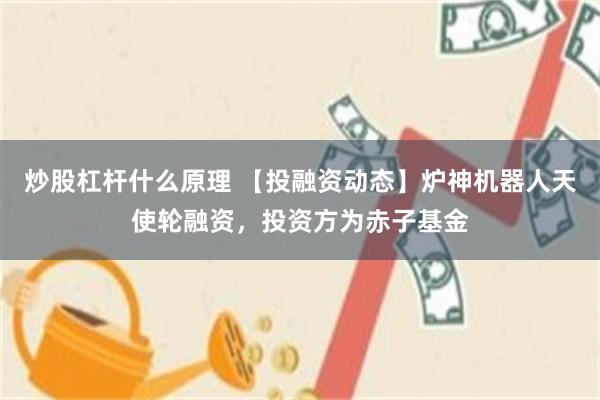 炒股杠杆什么原理 【投融资动态】炉神机器人天使轮融资，投资方为赤子基金