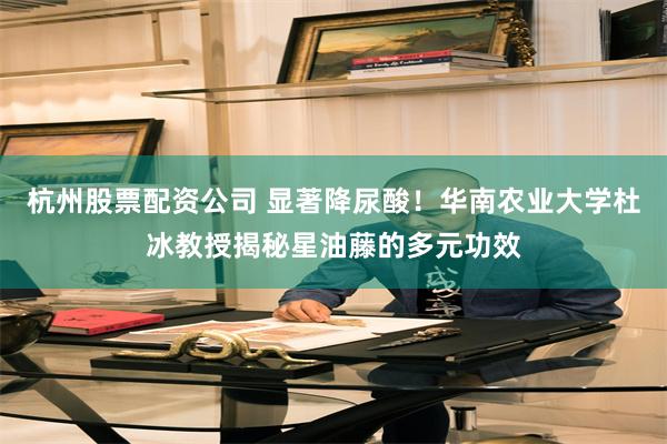 杭州股票配资公司 显著降尿酸！华南农业大学杜冰教授揭秘星油藤的多元功效