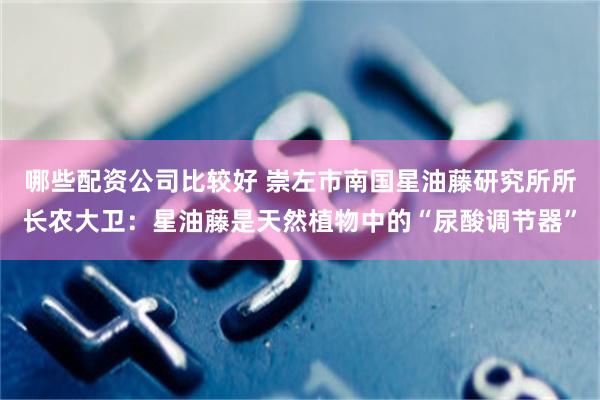 哪些配资公司比较好 崇左市南国星油藤研究所所长农大卫：星油藤是天然植物中的“尿酸调节器”