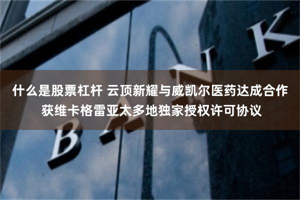 什么是股票杠杆 云顶新耀与威凯尔医药达成合作 获维卡格雷亚太多地独家授权许可协议