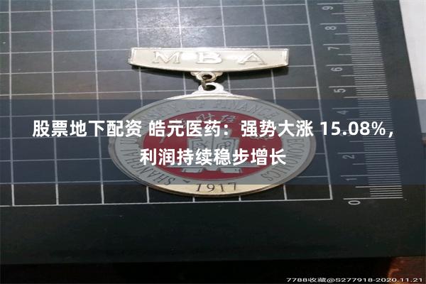 股票地下配资 皓元医药：强势大涨 15.08%，利润持续稳步增长