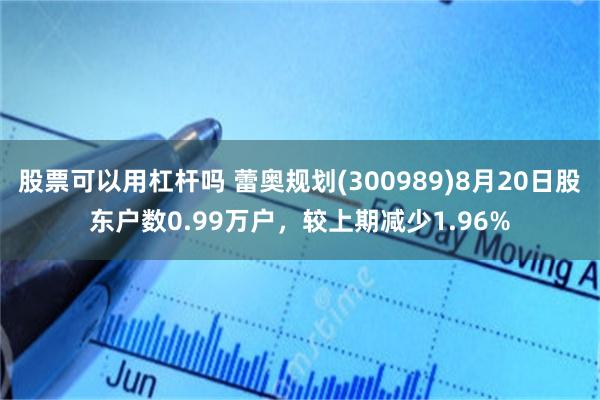 股票可以用杠杆吗 蕾奥规划(300989)8月20日股东户数0.99万户，较上期减少1.96%