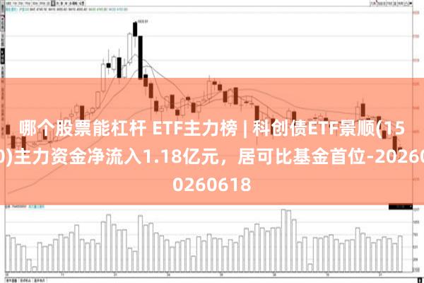 哪个股票能杠杆 ETF主力榜 | 科创债ETF景顺(159400)主力资金净流入1.18亿元，居可比基金首位-20260618