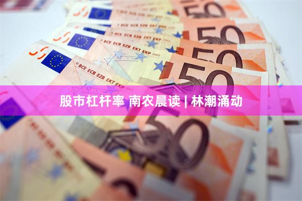 股市杠杆率 南农晨读 | 林潮涌动