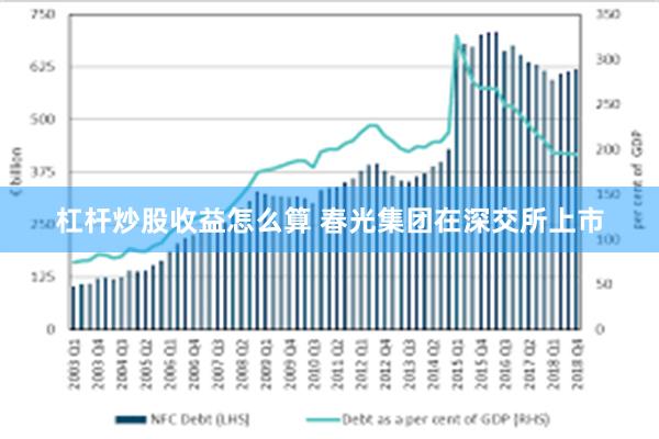 杠杆炒股收益怎么算 春光集团在深交所上市
