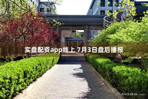 实盘配资app线上 7月3日盘后播报