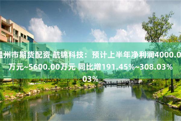 温州市期货配资 航锦科技：预计上半年净利润4000.00万元~5600.00万元 同比增191.45%~308.03%
