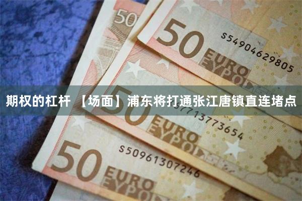 期权的杠杆 【场面】浦东将打通张江唐镇直连堵点