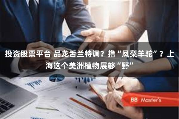 投资股票平台 品龙舌兰特调？撸“凤梨羊驼”？上海这个美洲植物展够“野”