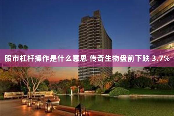 股市杠杆操作是什么意思 传奇生物盘前下跌 3.7%