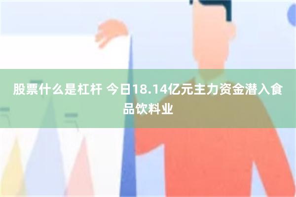 股票什么是杠杆 今日18.14亿元主力资金潜入食品饮料业