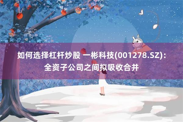 如何选择杠杆炒股 一彬科技(001278.SZ)：全资子公司之间拟吸收合并