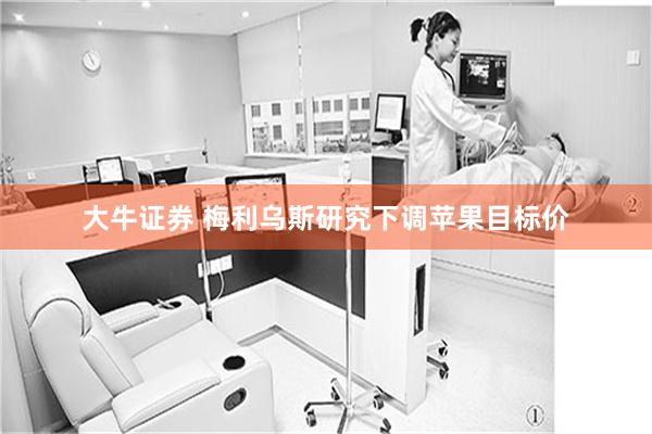 大牛证券 梅利乌斯研究下调苹果目标价