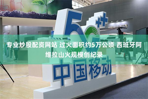 专业炒股配资网站 过火面积约5万公顷 西班牙阿维拉山火规模创纪录