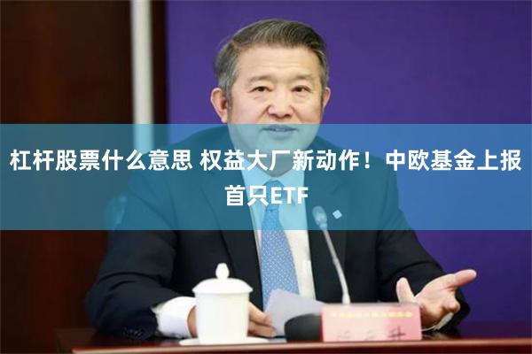 杠杆股票什么意思 权益大厂新动作!中欧基金上报首只ETF