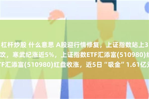杠杆炒股 什么意思 A股迎行情修复，上证指数站上3800点，科技股强势反攻，寒武纪涨近5%，上证指数ETF汇添富(510980)红盘收涨，近5日“吸金”1.61亿元！