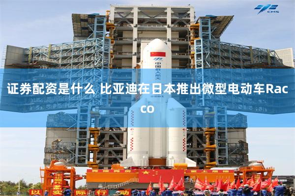 证券配资是什么 比亚迪在日本推出微型电动车Racco