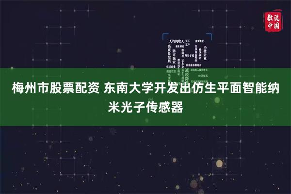 梅州市股票配资 东南大学开发出仿生平面智能纳米光子传感器