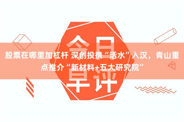 股票在哪里加杠杆 深创投携“活水”入汉,青山重点推介“新材料+五大研究院”