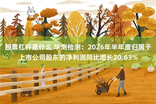 股票杠杆是什么 华测检测：2026年半年度归属于上市公司股东的净利润同比增长20.63%