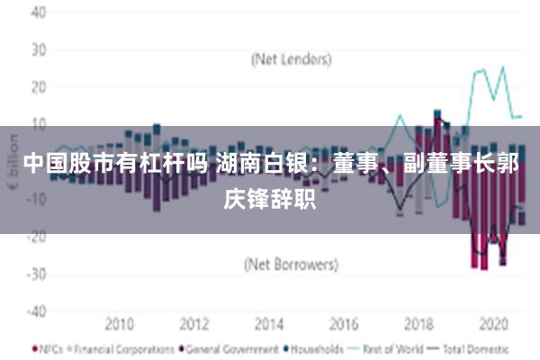中国股市有杠杆吗 湖南白银：董事、副董事长郭庆锋辞职