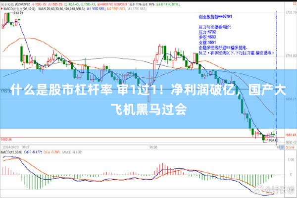 什么是股市杠杆率 审1过1！净利润破亿，国产大飞机黑马过会