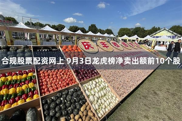 合规股票配资网上 9月3日龙虎榜净卖出额前10个股