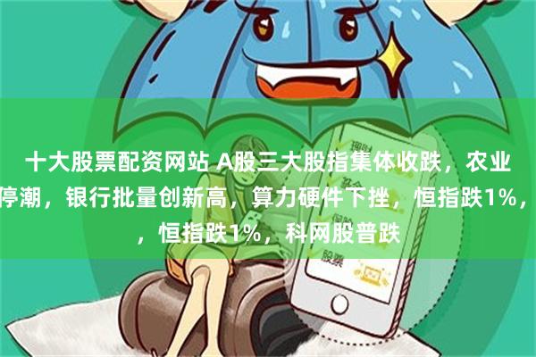 十大股票配资网站 A股三大股指集体收跌，农业股逆势掀涨停潮，银行批量创新高，算力硬件下挫，恒指跌1%，科网股普跌