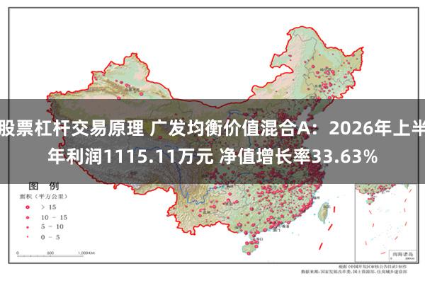 股票杠杆交易原理 广发均衡价值混合A：2026年上半年利润1115.11万元 净值增长率33.63%